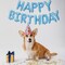 Light Blue Happy Birthday Balloon Banner – 16-Inch Foil Letters, Reusable Birthday Decoration for Boys, Girls, Kids, Women, and Men (Light Blue)